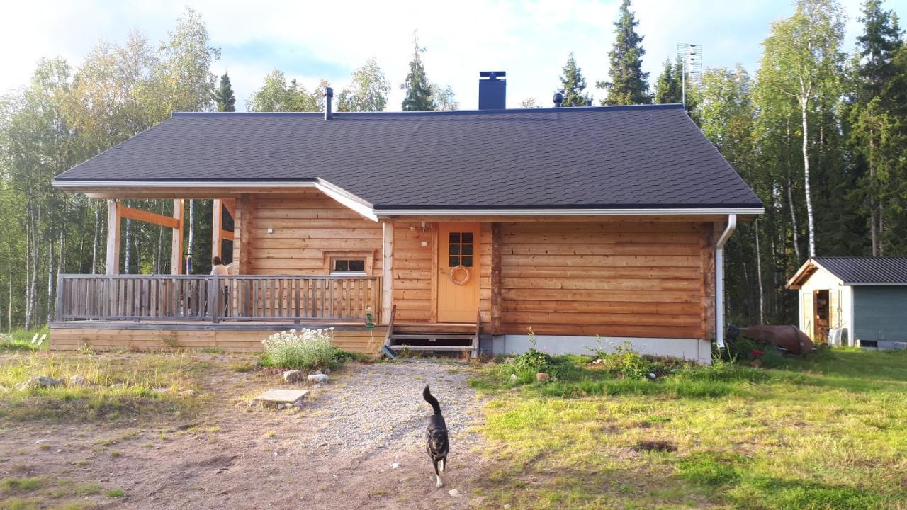 Savutaival Villa Pello Exteriör bild